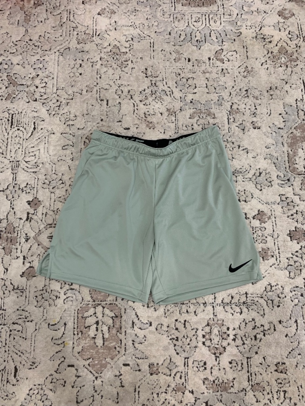 NWT Men’s Nike Dri-Fit Shorts Size Large